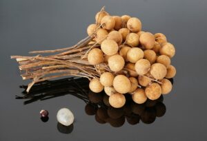 Longan fruit uncovered